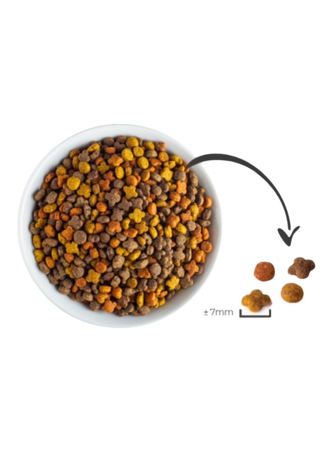Gaby Plus Mix Dry Food with Meat and Chicken for Adult Cats 10 kg - Image 2